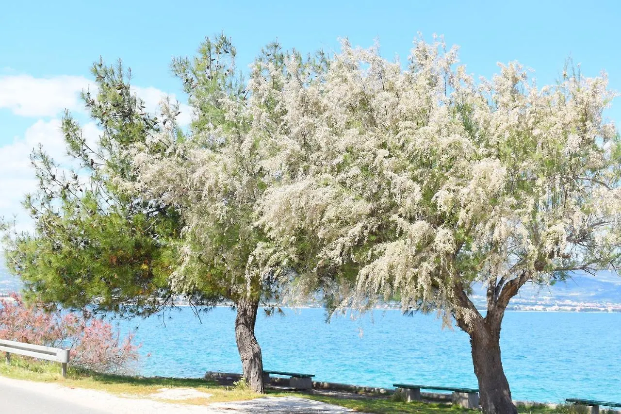 Villa Madu Trogir