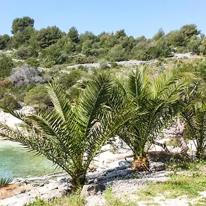 Tatinja Trogir